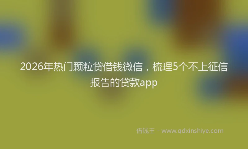 2026年热门颗粒贷借钱微信，梳理5个不上征信报告的贷款app