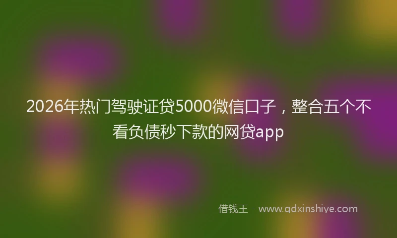 2026年热门驾驶证贷5000微信口子，整合五个不看负债秒下款的网贷app