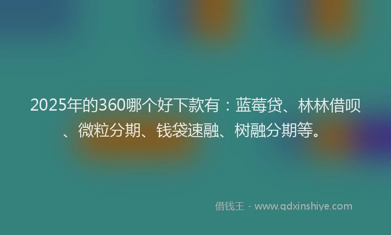 2025年的360哪个好下款有：蓝莓贷、林林借呗、微粒分期、钱袋速融、树融分期等。