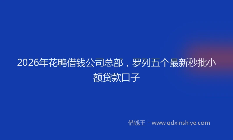 2026年花鸭借钱公司总部，罗列五个最新秒批小额贷款口子