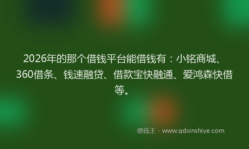 2026年的那个借钱平台能借钱有：小铭商城、360借条、钱速融贷、借款宝快融通、爱鸿森快借等。
