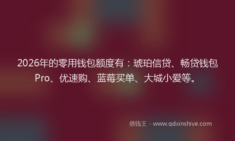 2026年的零用钱包额度有：琥珀信贷、畅贷钱包Pro、优速购、蓝莓买单、大城小爱等。