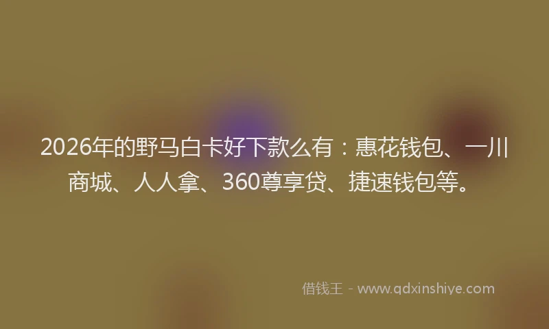 2026年的野马白卡好下款么有：惠花钱包、一川商城、人人拿、360尊享贷、捷速钱包等。