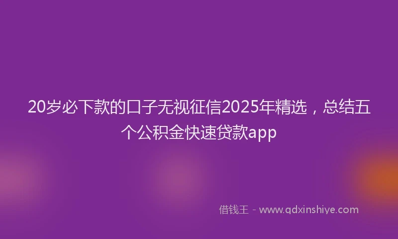 20岁必下款的口子无视征信2025年精选，总结五个公积金快速贷款app