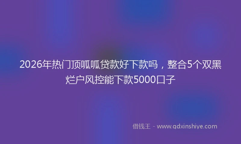 2026年热门顶呱呱贷款好下款吗，整合5个双黑烂户风控能下款5000口子