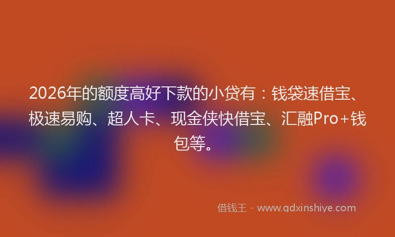 2026年的额度高好下款的小贷有：钱袋速借宝、极速易购、超人卡、现金侠快借宝、汇融Pro+钱包等。