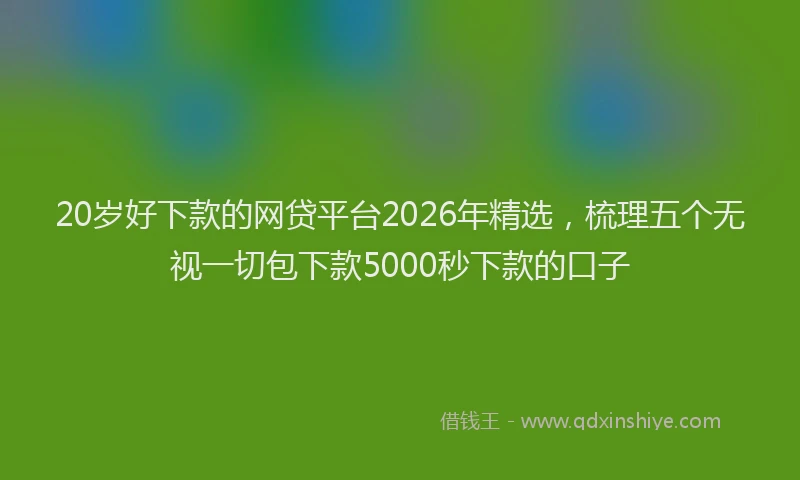 20岁好下款的网贷平台2026年精选，梳理五个无视一切包下款5000秒下款的口子