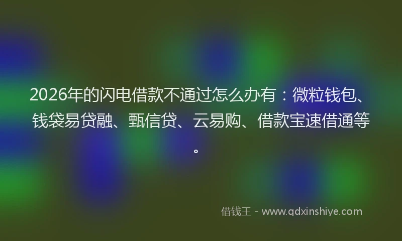 2026年的闪电借款不通过怎么办有:微粒钱包、钱袋易贷融、甄信贷、云易购、借款宝速借通等。