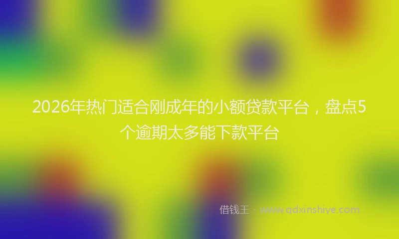 2026年热门适合刚成年的小额贷款平台，盘点5个逾期太多能下款平台