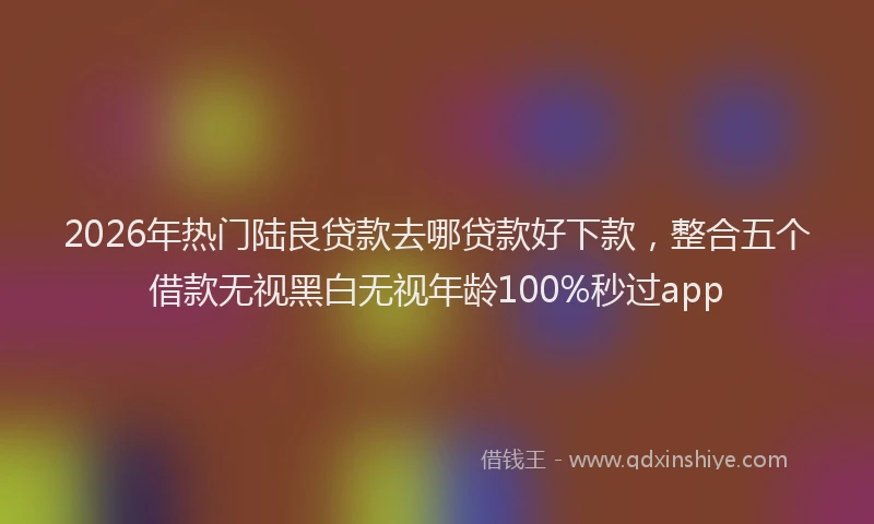 2026年热门陆良贷款去哪贷款好下款，整合五个借款无视黑白无视年龄100%秒过app