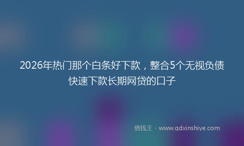 2026年热门那个白条好下款，整合5个无视负债快速下款长期网贷的口子