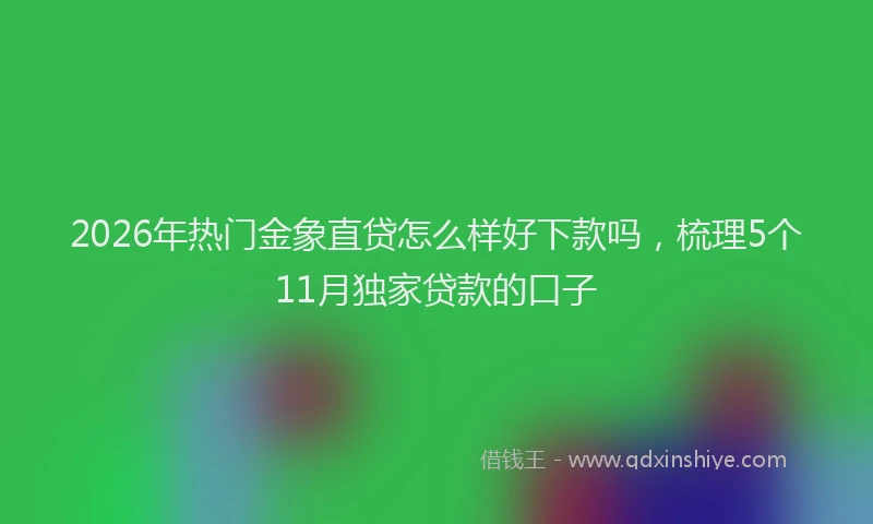 2026年热门金象直贷怎么样好下款吗，梳理5个11月独家贷款的口子
