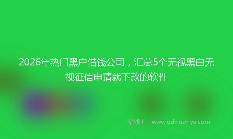 2026年热门黑户借钱公司，汇总5个无视黑白无视征信申请就下款的软件