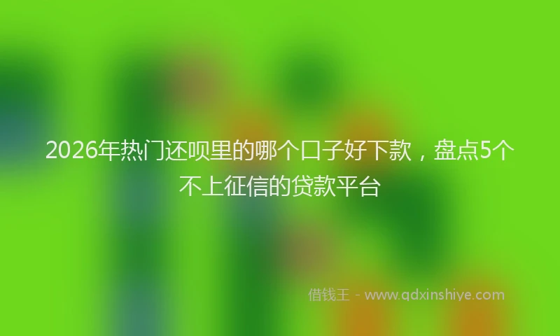 2026年热门还呗里的哪个口子好下款，盘点5个不上征信的贷款平台