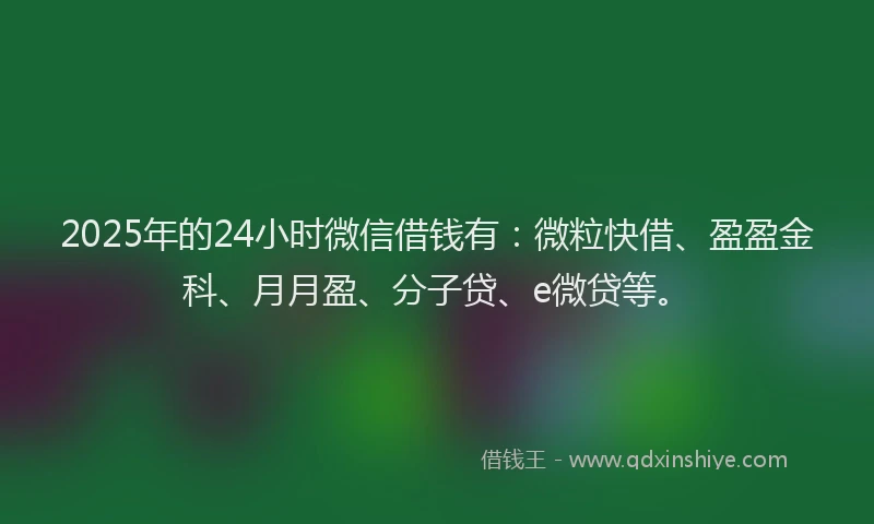 2025年的24小时微信借钱有:微粒快借、盈盈金科、月月盈、分子贷、e微贷等。