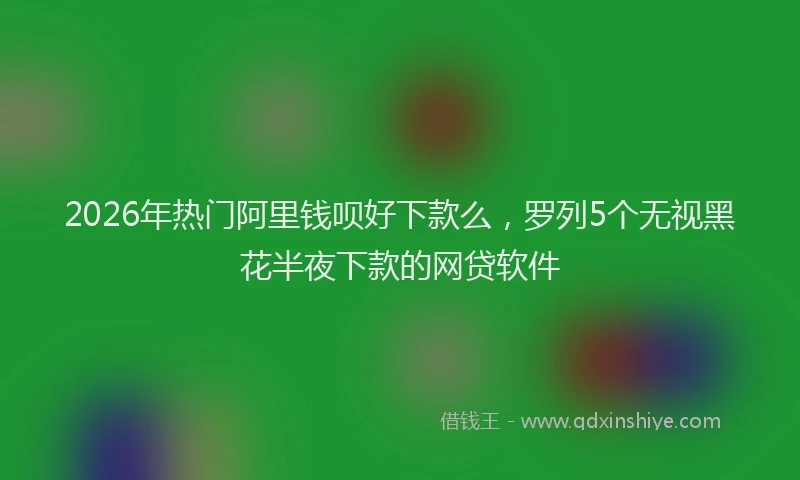 2026年热门阿里钱呗好下款么，罗列5个无视黑花半夜下款的网贷软件
