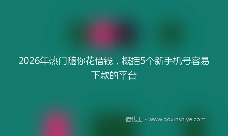 2026年热门随你花借钱，概括5个新手机号容易下款的平台