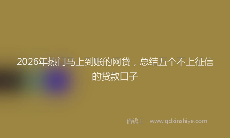 2026年热门马上到账的网贷，总结五个不上征信的贷款口子