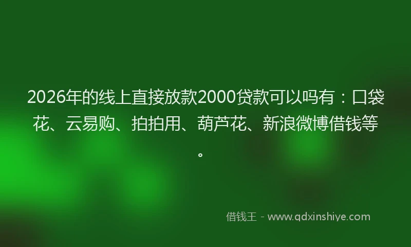 2026年的线上直接放款2000贷款可以吗有：口袋花、云易购、拍拍用、葫芦花、新浪微博借钱等。