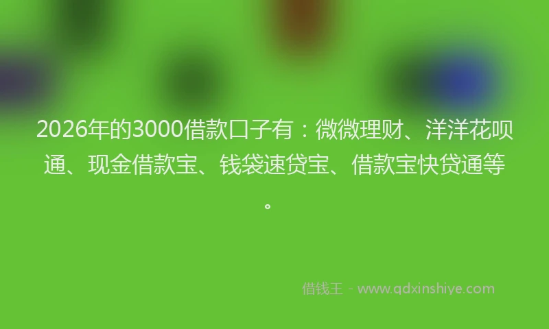 2026年的3000借款口子有：微微理财、洋洋花呗通、现金借款宝、钱袋速贷宝、借款宝快贷通等。