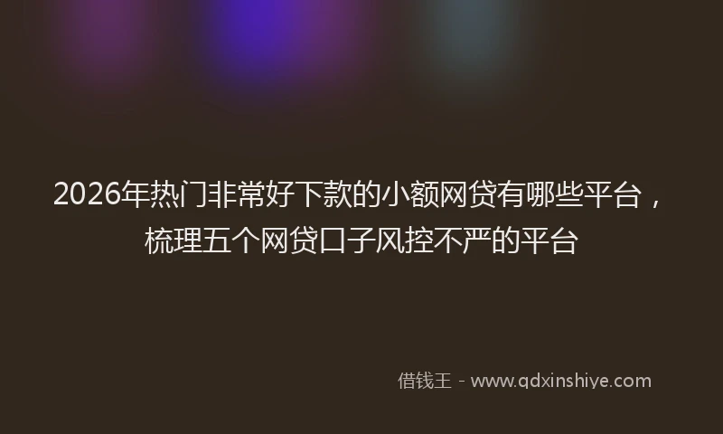 2026年热门非常好下款的小额网贷有哪些平台,梳理五个网贷口子风控不严的平台