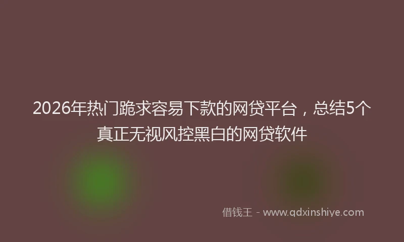 2026年热门跪求容易下款的网贷平台，总结5个真正无视风控黑白的网贷软件