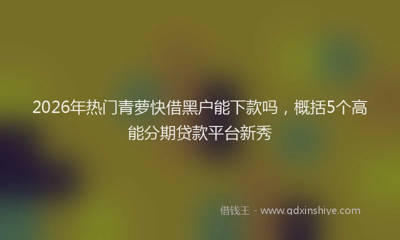 2026年热门青萝快借黑户能下款吗，概括5个高能分期贷款平台新秀