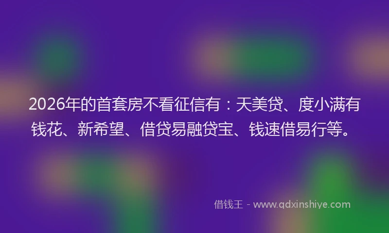 2026年的首套房不看征信有:天美贷、度小满有钱花、新希望、借贷易融贷宝、钱速借易行等。