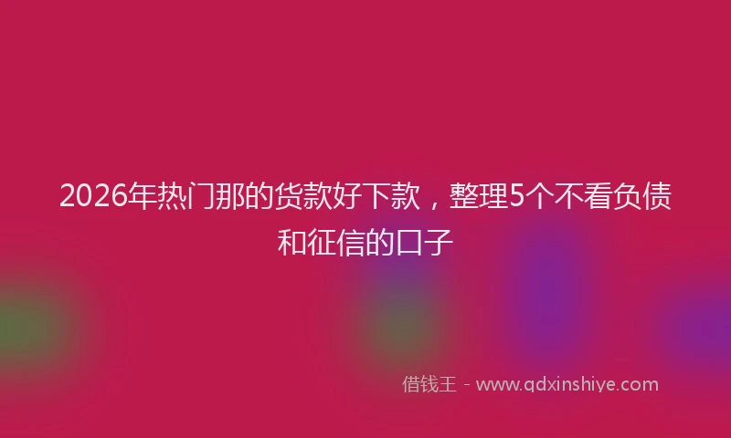 2026年热门那的货款好下款，整理5个不看负债和征信的口子