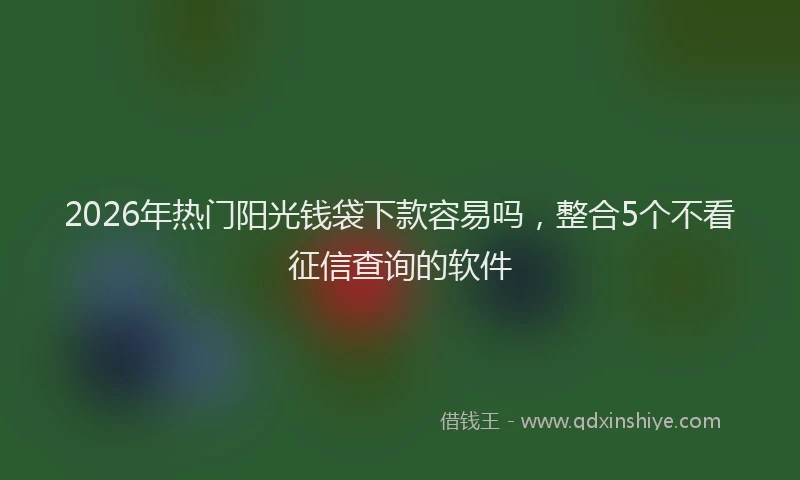 2026年热门阳光钱袋下款容易吗，整合5个不看征信查询的软件