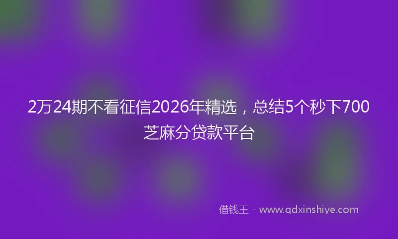 2万24期不看征信2026年精选，总结5个秒下700芝麻分贷款平台