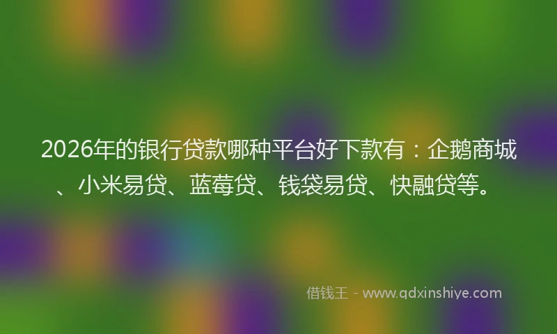 2026年的银行贷款哪种平台好下款有：企鹅商城、小米易贷、蓝莓贷、钱袋易贷、快融贷等。