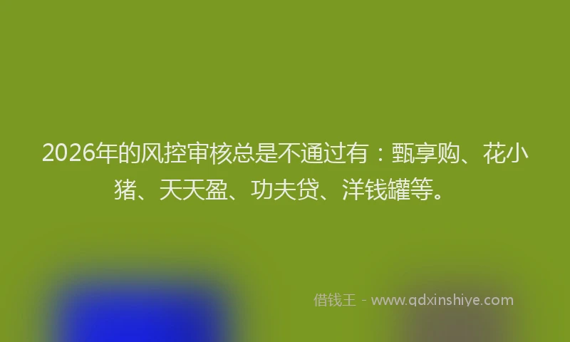 2026年的风控审核总是不通过有：甄享购、花小猪、天天盈、功夫贷、洋钱罐等。