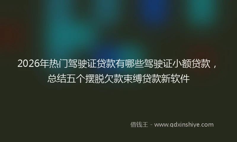 2026年热门驾驶证贷款有哪些驾驶证小额贷款，总结五个摆脱欠款束缚贷款新软件