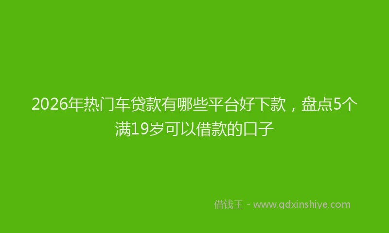 2026年热门车贷款有哪些平台好下款，盘点5个满19岁可以借款的口子
