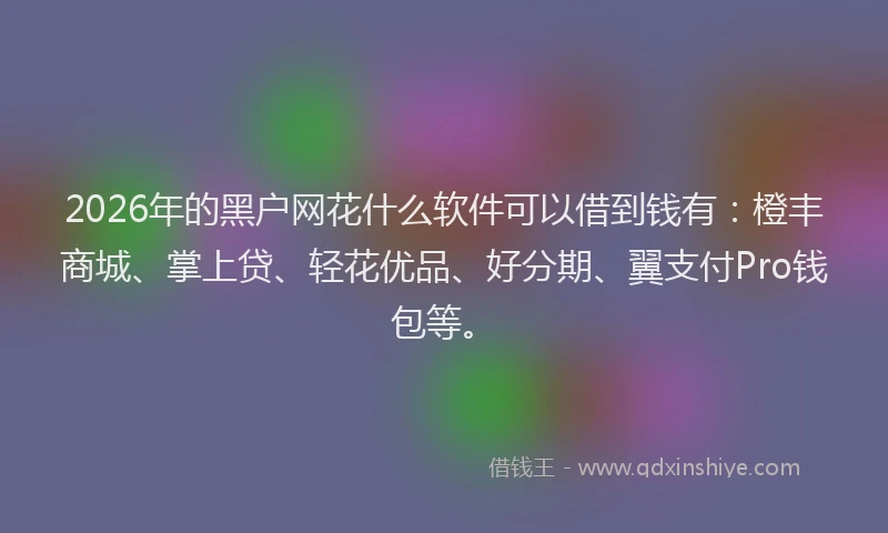 2026年的黑户网花什么软件可以借到钱有：橙丰商城、掌上贷、轻花优品、好分期、翼支付Pro钱包等。