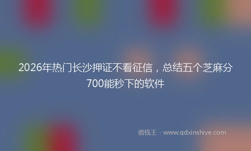 2026年热门长沙押证不看征信，总结五个芝麻分700能秒下的软件