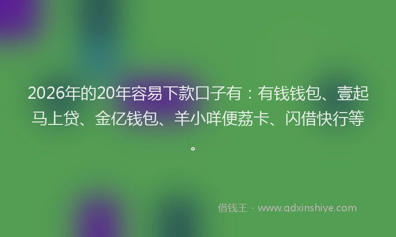 2026年的20年容易下款口子有：有钱钱包、壹起马上贷、金亿钱包、羊小咩便荔卡、闪借快行等。