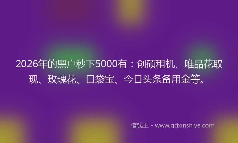 2026年的黑户秒下5000有：创硕租机、唯品花取现、玫瑰花、口袋宝、今日头条备用金等。