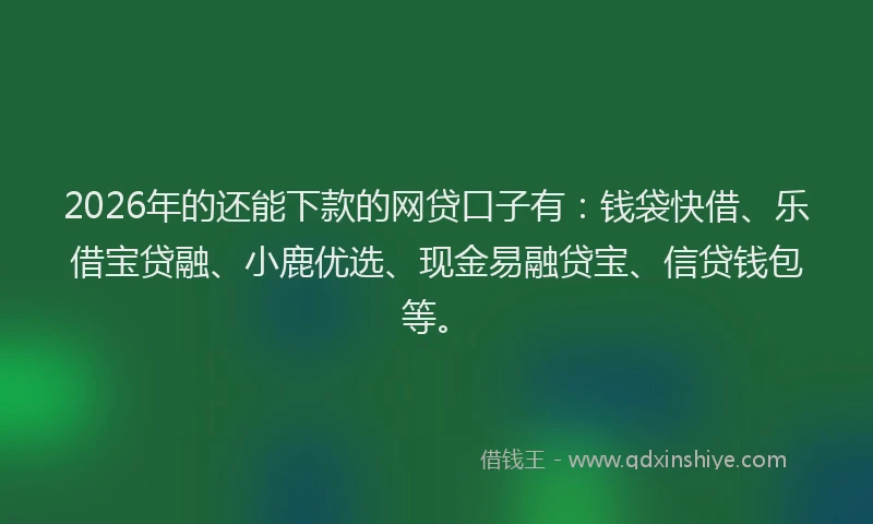 2026年的还能下款的网贷口子有:钱袋快借、乐借宝贷融、小鹿优选、现金易融贷宝、信贷钱包等。