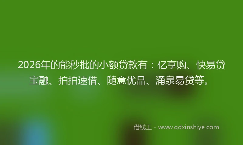 2026年的能秒批的小额贷款有：亿享购、快易贷宝融、拍拍速借、随意优品、涌泉易贷等。