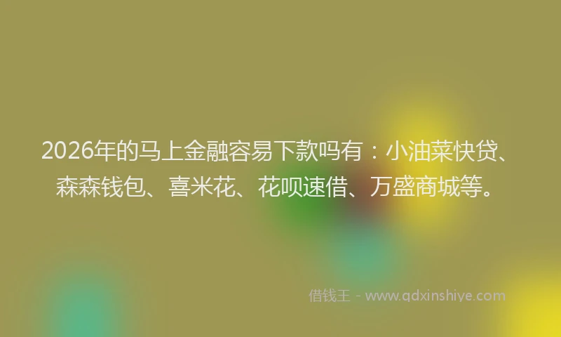2026年的马上金融容易下款吗有：小油菜快贷、森森钱包、喜米花、花呗速借、万盛商城等。