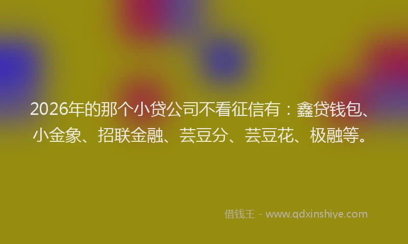 2026年的那个小贷公司不看征信有：鑫贷钱包、小金象、招联金融、芸豆分、芸豆花、极融等。