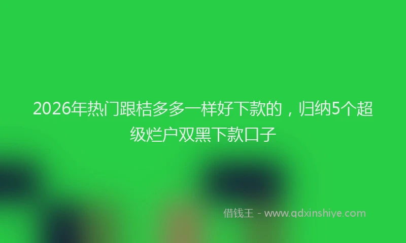 2026年热门跟桔多多一样好下款的，归纳5个超级烂户双黑下款口子