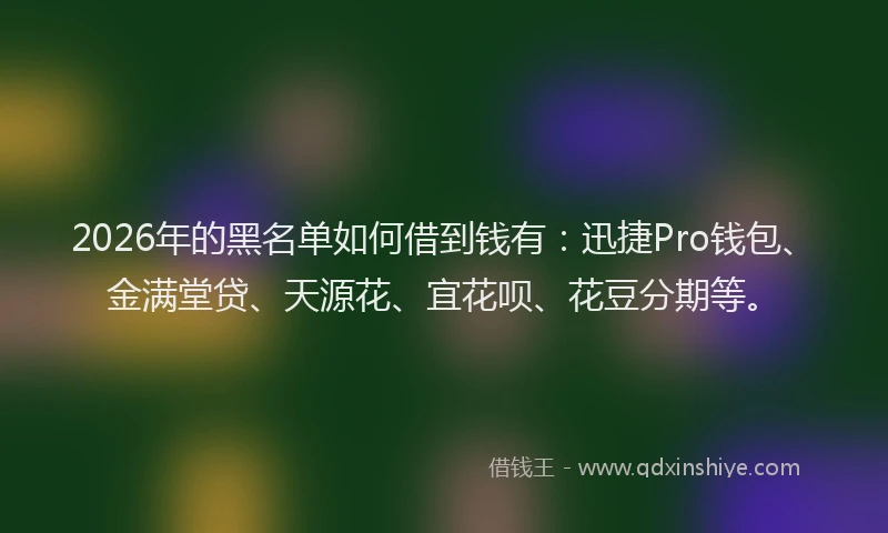 2026年的黑名单如何借到钱有：迅捷Pro钱包、金满堂贷、天源花、宜花呗、花豆分期等。
