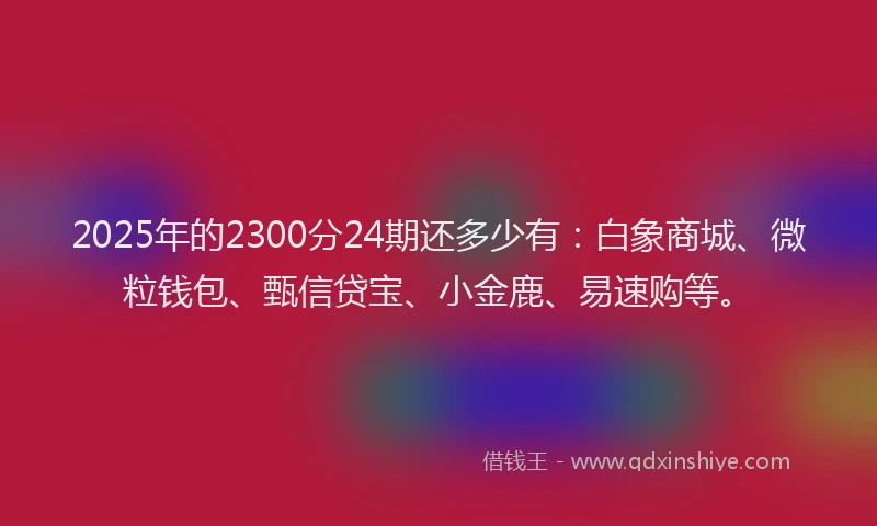 2025年的2300分24期还多少有：白象商城、微粒钱包、甄信贷宝、小金鹿、易速购等。