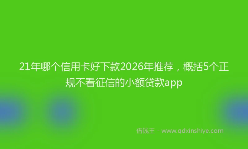 21年哪个信用卡好下款2026年推荐，概括5个正规不看征信的小额贷款app