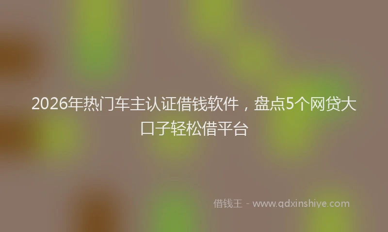 2026年热门车主认证借钱软件，盘点5个网贷大口子轻松借平台
