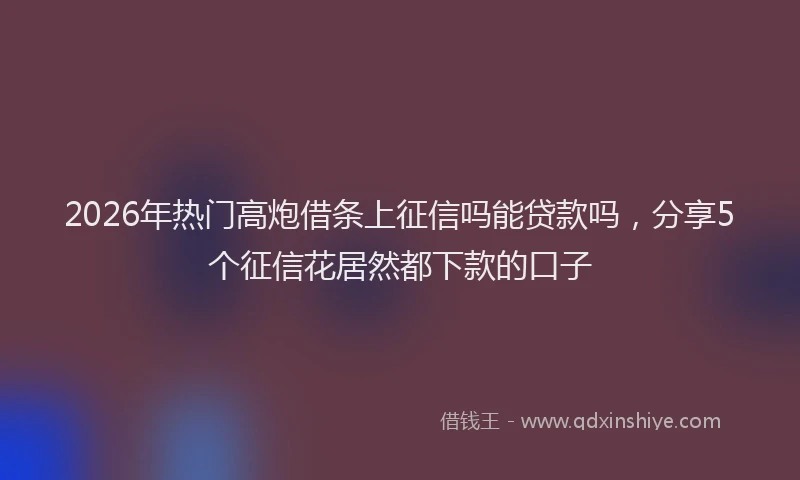 2026年热门高炮借条上征信吗能贷款吗，分享5个征信花居然都下款的口子