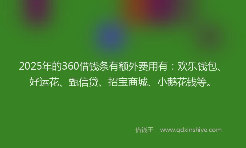 2025年的360借钱条有额外费用有：欢乐钱包、好运花、甄信贷、招宝商城、小鹅花钱等。